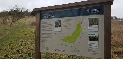 Levin Down Nature Reserve Sussex Wildlife Trust - Thumbnail