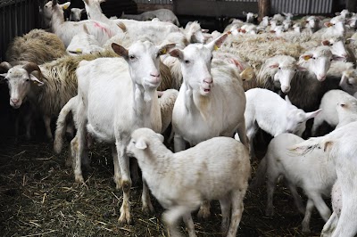 Azienda Agricola La Casaccia Bologna