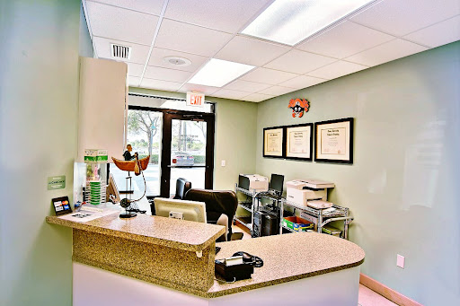 Jeffrey J. Strauss DDS - Thumbnail