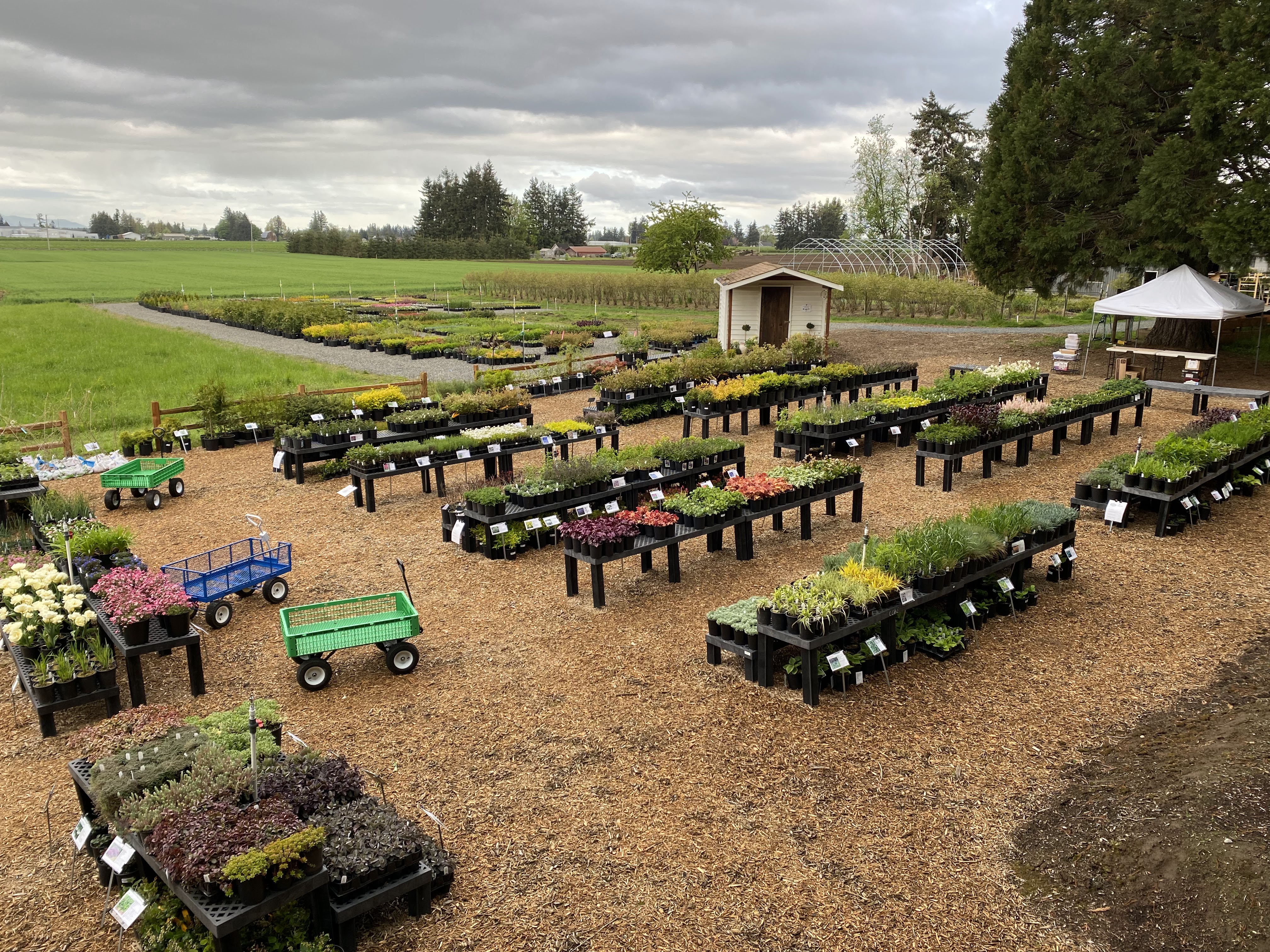 Northwood Nursery