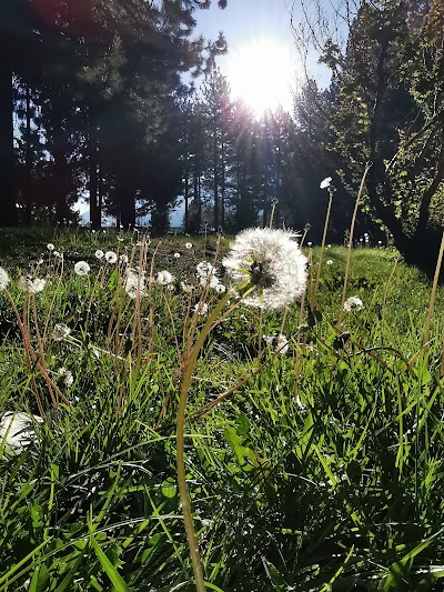 El Dorado County Library | South Lake Tahoe Branch