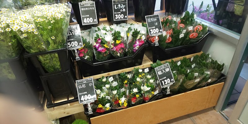 Vflower 高蔵寺店