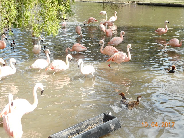 Parc de Clères