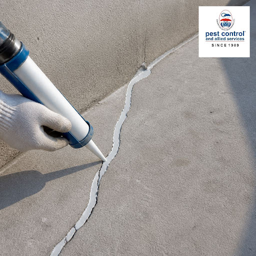 Persistent damp patches, peeling paint or musty smells at home or office? It’s often due to tiny… post image