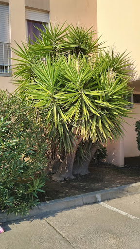 Photo de Maison Territoriale des services ADMR à Afa (20167)