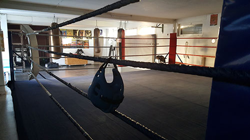 Wittmann-Boxing - Thumbnail