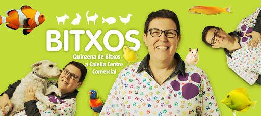 Bitxos - Visual