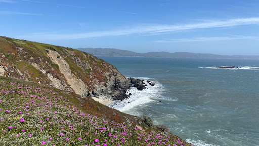 Bodega Head Trail - Thumbnail