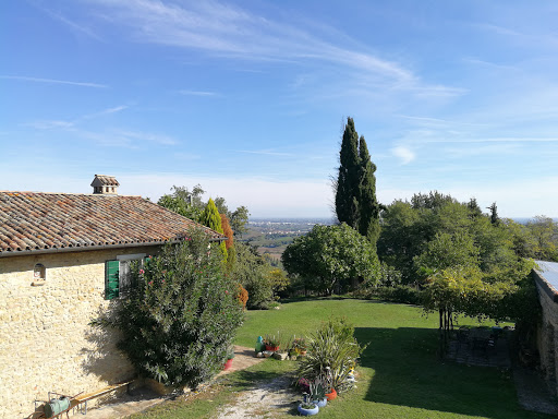 la cana dolce - Visual