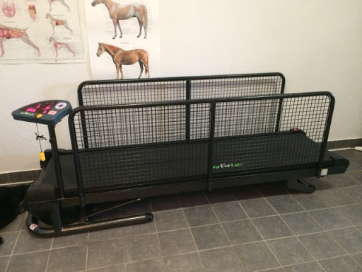 Allt för flocken