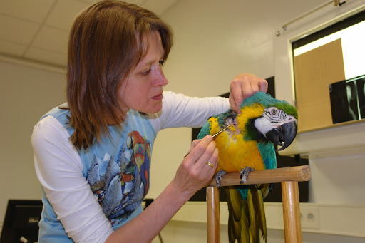 Tierärztliche Fachpraxis für Vögel & Exoten Dr. med. vet. Heike Reball
