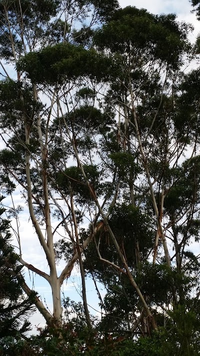 Photos of Drogreria Farma Guepsa