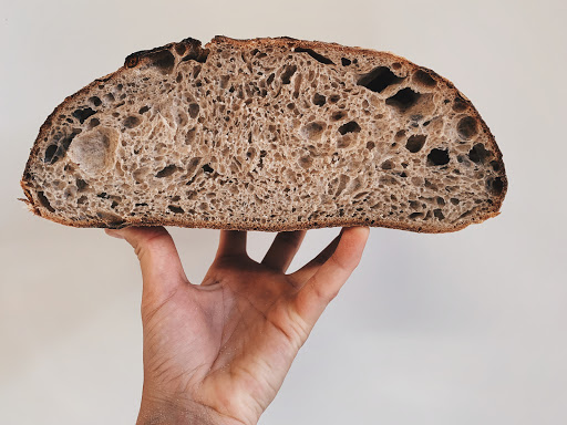 The Elder Bread - Visual