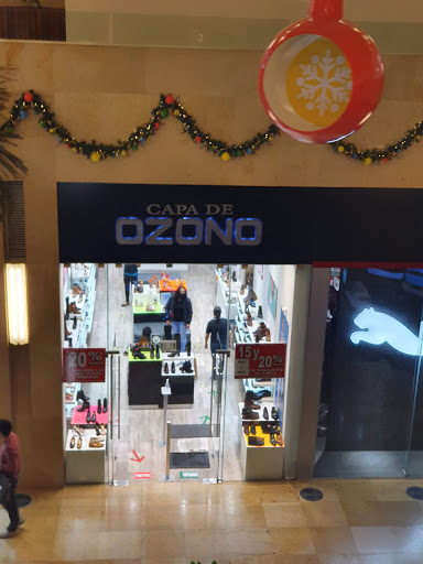 Ozone layer Logo