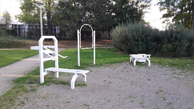 Parc du Cèdre