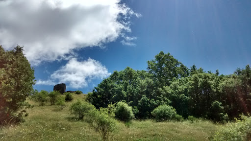 Aviados - Visual