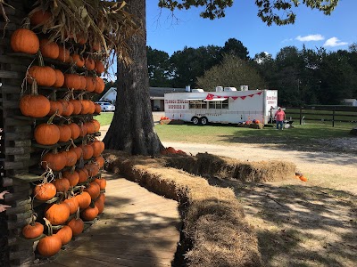 Anderson Farms Pumpkin Patch