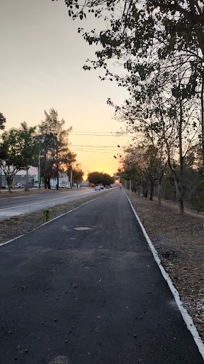 Tepic Río - Visual