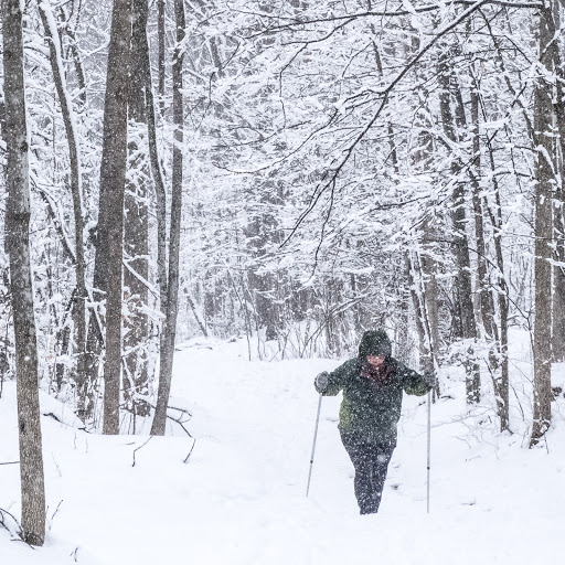 Willmarth Woods Natural Area - Thumbnail