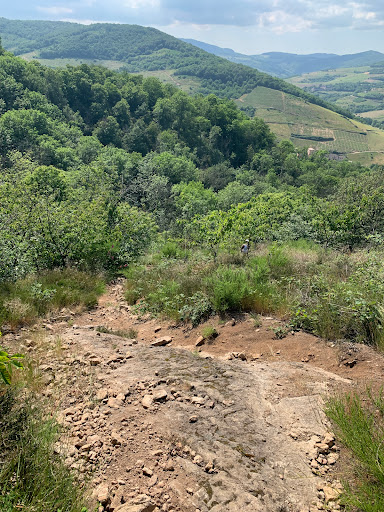 La source du Beaujolais Gallery - France