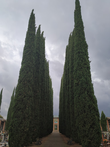 Cimitero di Noale - Thumbnail