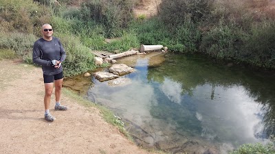 Photos of מוסך ממד בע"מ
