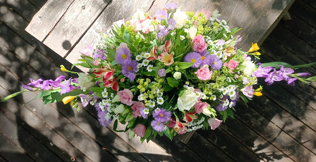 Lednicka 9, 60-413 Poznań