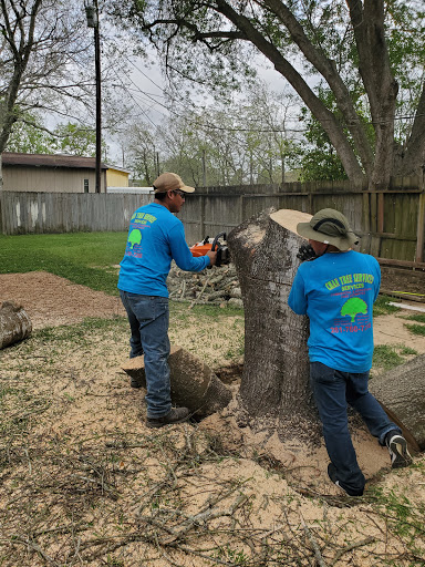 Chan tree services - Visual