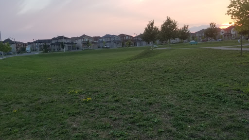Watershield Park - Visual