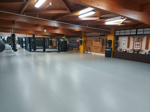 Sasori Fight Academy - Thumbnail