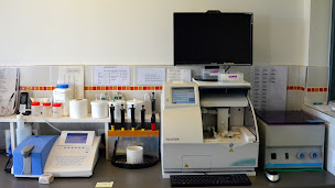 Photo n°9 de Clinique Vétérinaire du Pastin à La Sauve (Vétérinaire)