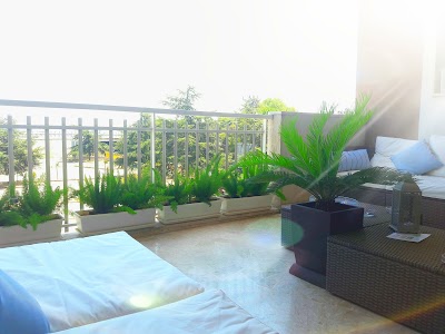 Photos of Hotel A-14