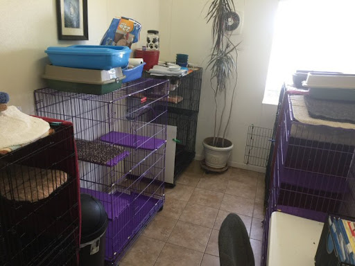 Bed Bath & Biscuit Pet Resort - Thumbnail