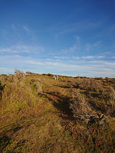 Copper Head Trail / Lookout - Thumbnail