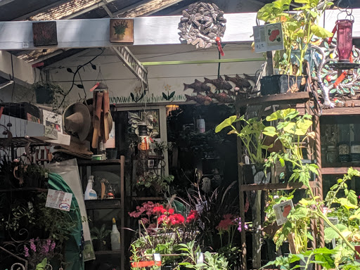 Star Gardens