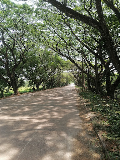 Entrada Principal
