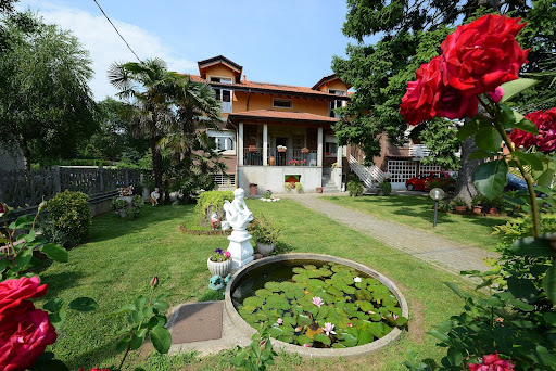 The B & B Malpensa flowers