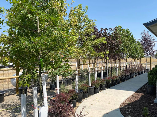 New Beginnings Nursery - Thumbnail