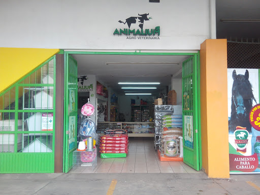 Animalium