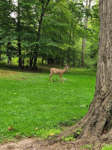 Big Creek Parkway - Thumbnail