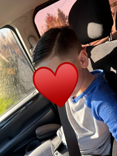 Fresco cuts - Visual