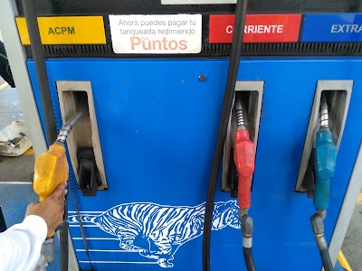 Photos of Service Station La Selva Success