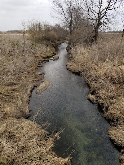 Irwin Avenue Stream