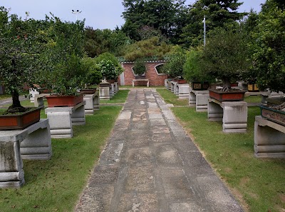 Photos of Rare Tree Park