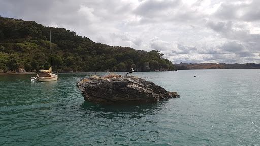 Raglan Harbour Cruises - Thumbnail