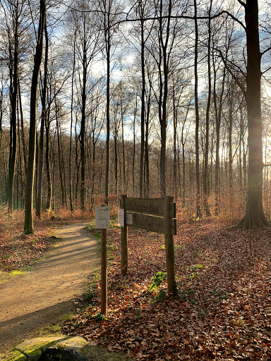Naturfriedhof Mühltal