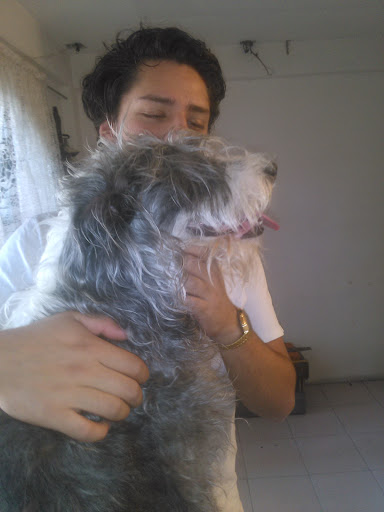 Veterinaria SANIVET