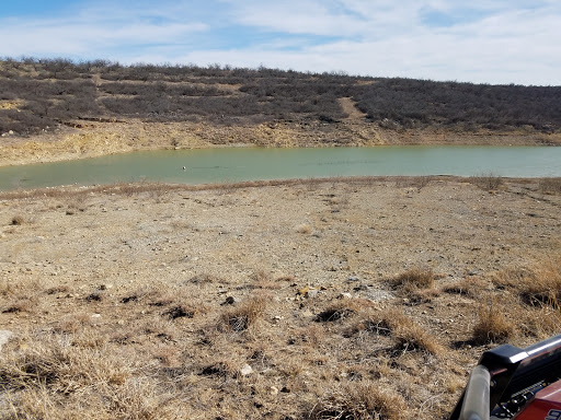 Lambshead Ranch - Visual