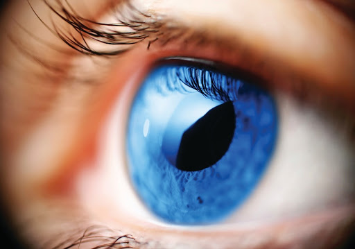 Spectrum Eye Care - Thumbnail