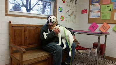veterinary-care